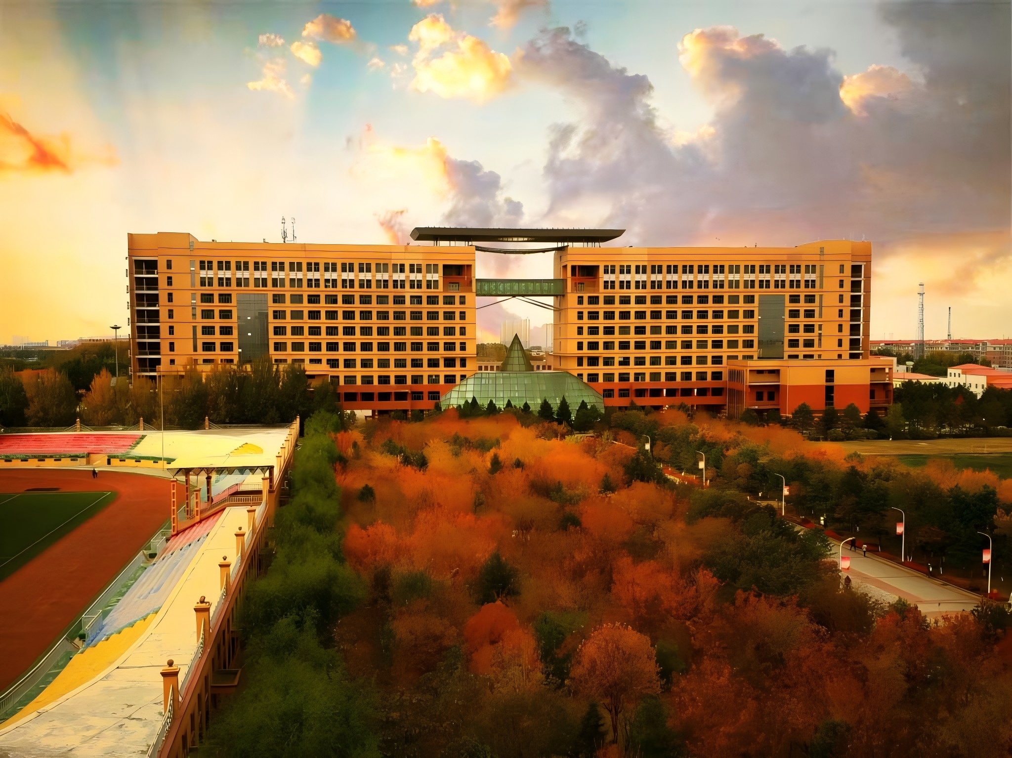 黑龙江科技大学.jpg